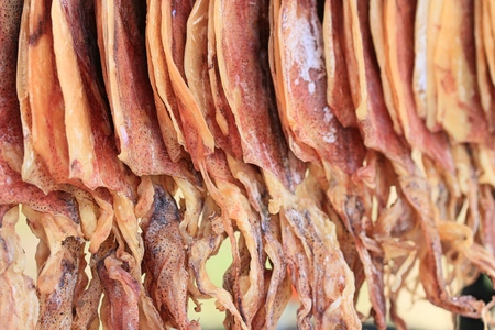 dried squidの写真素材