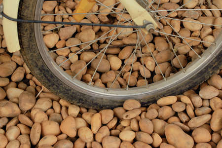 Bicycle tiresの写真素材