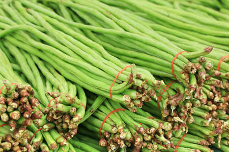 Long bean at the marketの写真素材