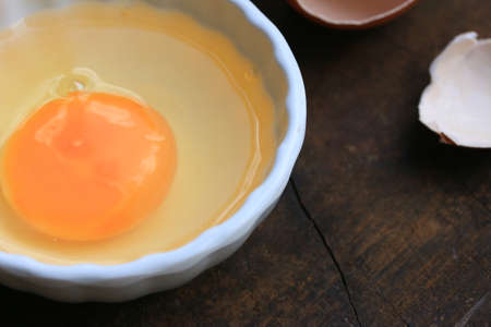 egg yolk