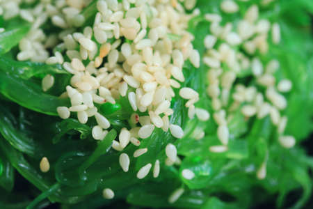 seaweed salad - japanese foodの写真素材