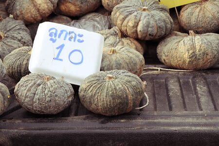 Pumpkin at the marketの写真素材