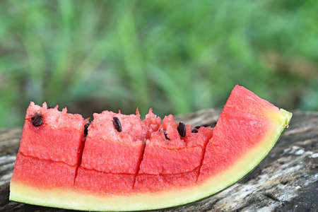 watermelonの写真素材