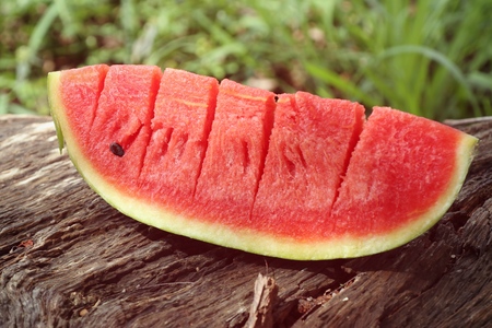 watermelonの写真素材