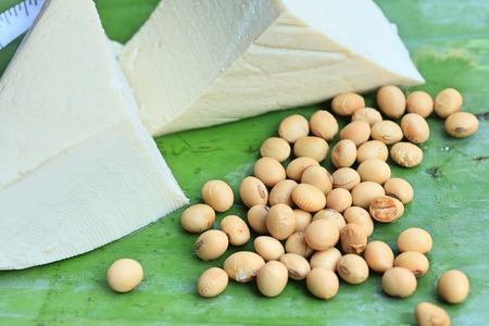 tofu and soy beansの写真素材