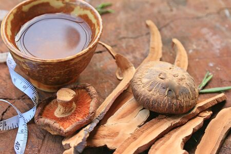 Ganoderma lucidum hot tea
