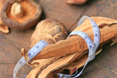 Ganoderma lucidum dried and shiitakeの写真素材