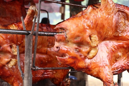 tasty barbecued suckling pigの写真素材