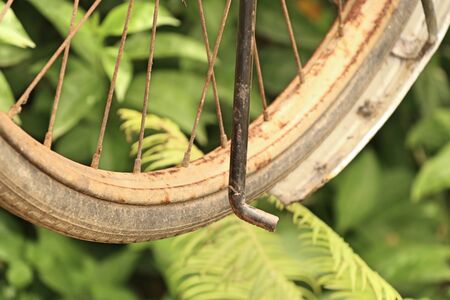 Vintage bicycles