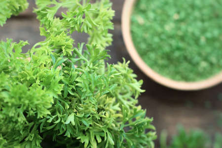 Dried herb parsley leaves