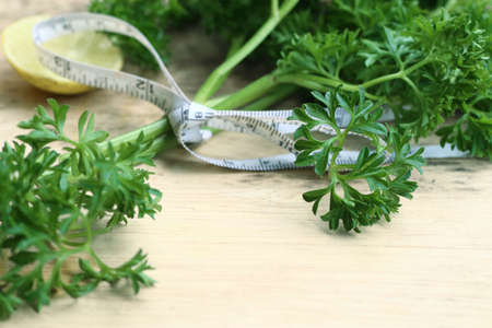 Fresh leaf of parsleyの写真素材