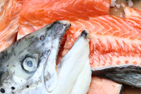 raw fresh of salmon