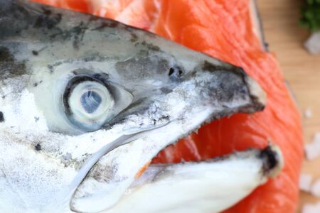raw fresh of salmonの写真素材