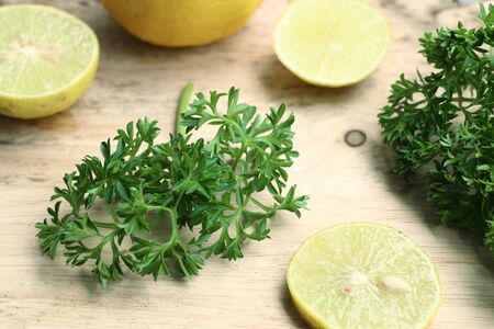 Fresh leaf of parsley