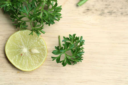 Fresh leaf of parsleyの写真素材