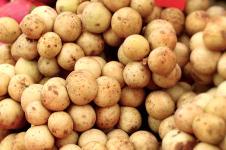 Wollongong fruit