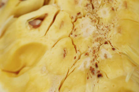 jackfruit slice