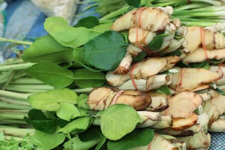 Galangal, kaffirkrap, kaffir lime leaves at market