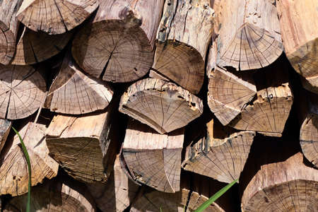 Timber