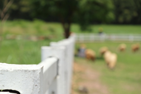 White fence on the farmの写真素材