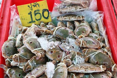 crab at the marketの写真素材