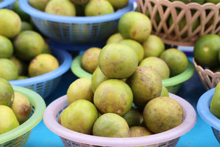 lemon at the marketの写真素材