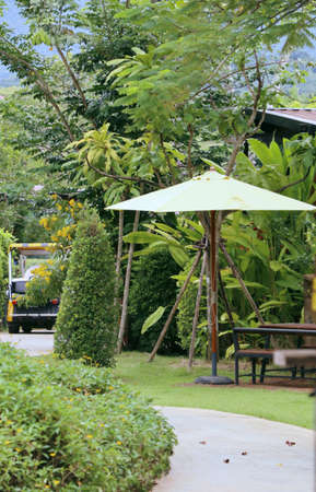 The walk in the parkの写真素材