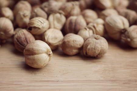 cardamomの写真素材