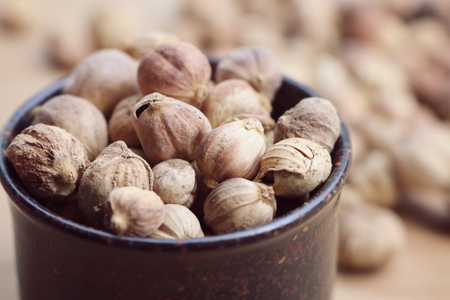 cardamomの写真素材