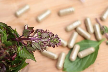 herbal basil with capsuleの写真素材