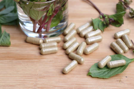 herbal basil with capsuleの写真素材