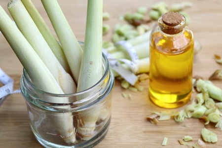 lemongrass oilの写真素材