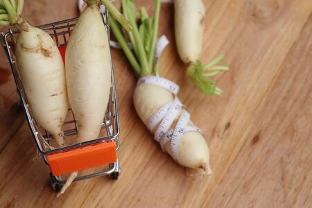 radishの写真素材