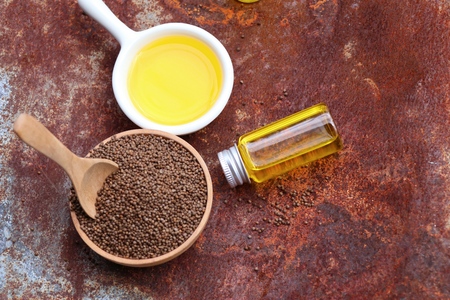 perilla oil with seedの写真素材