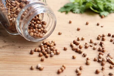 Coriander seedsの写真素材