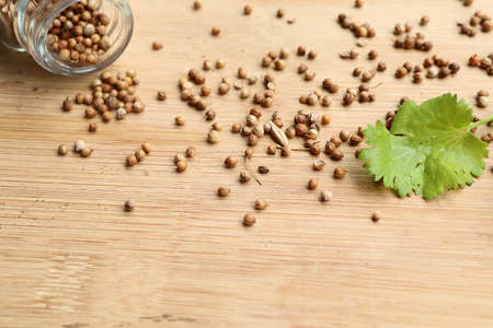 Coriander seedsの写真素材