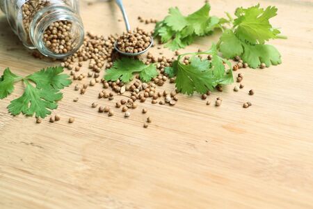 Coriander seedsの写真素材