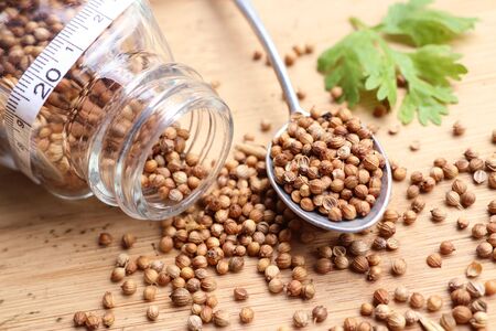 Coriander seedsの写真素材