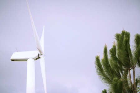 wind turbineの写真素材