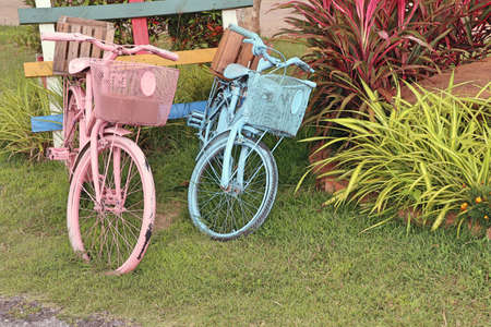 pink and blue bicycles at the parkの写真素材