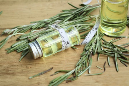 rosemary oilの写真素材