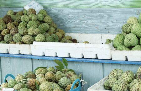 sugar appleの写真素材