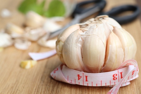 garlicの写真素材