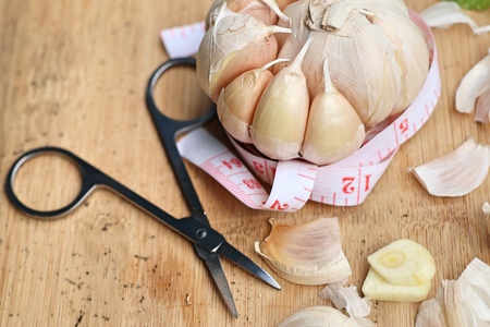 garlicの写真素材