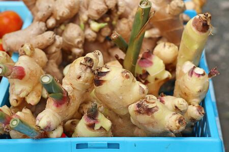 Galangal at the market