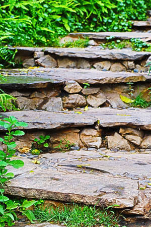 Stairs in the gardenの写真素材