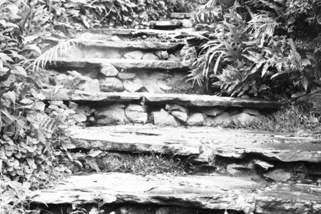Stairs in the garden