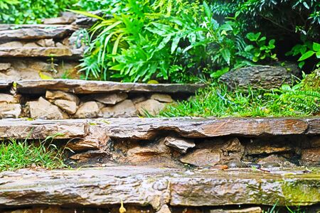Stairs in the gardenの写真素材