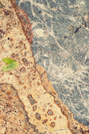 Marble backgroundの写真素材
