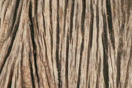 Wooden background